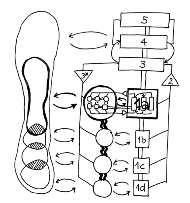 Pathology: Dominant System 1